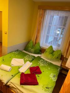 a bedroom with two beds with green sheets and a window at Pension Švýcarský dům in Trutnov