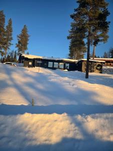 um quintal coberto de neve com uma casa e árvores em 1125 Fjällstugan em Lofsdalen