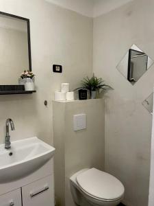 科佩爾的住宿－Apartments Nina，浴室配有白色卫生间和盥洗盆。