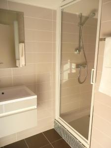 uma casa de banho com um chuveiro e um lavatório. em Hotel Le Saint Aubin em Chevillé