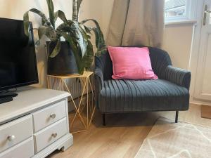 a black chair with a pink pillow next to a plant at Guest Homes - Fairlie Flat in Oxford