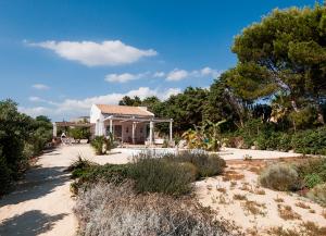 Κήπος έξω από το Jabia Beach House
