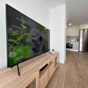 een grote flatscreen-tv op een stand in een woonkamer bij Estrénalo a minutos de BCN in Sant Feliu de Llobregat