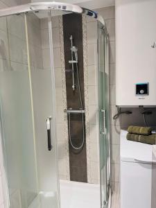 La salle de bains est pourvue d'une douche avec une porte en verre. dans l'établissement Appartement Des Iles, à Juan-les-Pins