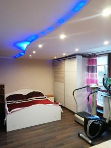ein Schlafzimmer mit einem Bett und einem Laufband in einem Zimmer in der Unterkunft Willa Na Górce in Szczyrk