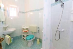 een badkamer met een toilet, een wastafel en een douche bij Apartments Delminium in Lun