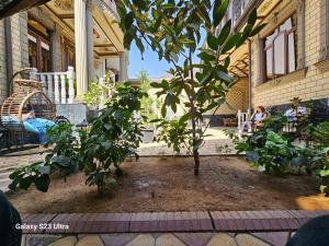 a tree on the porch of a house at Hotel Sharq in Dushanbe