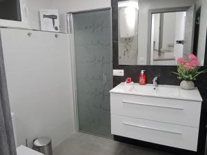 y baño con lavabo blanco y ducha. en Apartamentos los carros 2 en Guadix