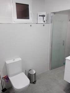 ein weißes Bad mit einem WC und einer Dusche in der Unterkunft Apartamentos los carros 2 in Guadix