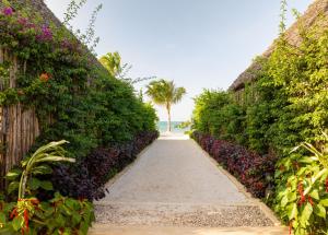 Zahrada ubytování Safaya Luxury Villas - Adults only