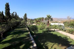an aerial view of a garden with palm trees at Villa Mahé Tennis Karystos island EVIA in Karistos