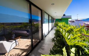an open balcony with glass walls and plants at KUKO SUITES in Chilpancingo de los Bravos