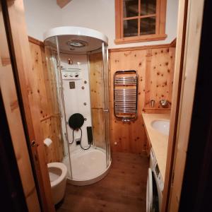 a small bathroom with a shower and a sink at Family and Wellness Residence Ciasa Antersies in San Cassiano