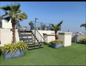 a staircase on the roof of a building with palm trees at Studio Vachi , City Centre Location in Jaipur
