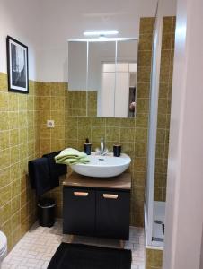 a bathroom with a sink and a mirror at Ankommen und wohlfühlen 2 in Bad Bergzabern
