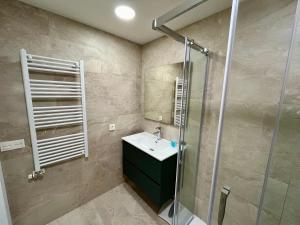 Un baño con lavabo y ducha en Villmor - B51 - La Terraza de Benasque, en Benasque 26 fotos más