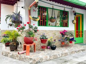 un grupo de plantas en macetas frente a una casa en Casa Emmanuel, en Salento
