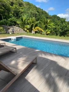 a large swimming pool with a wooden deck next to a mountain at VILLA -Le Chalet Tropical in Le Marin