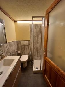 a bathroom with a shower and a toilet and a sink at coeur di montagna in Courmayeur