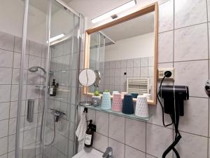 y baño con ducha, lavabo y espejo. en BohnApartments Junior SUITE Blume 14 - Nähe Dom - WLAN, en Erfurt