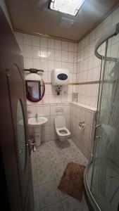 a small bathroom with a toilet and a sink at Hotel & Restaurant Com Viet in Oschatz