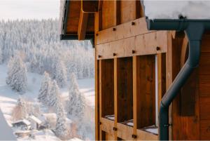 a building with a view of a snow covered forest at Chalet Foret in Todtnauberg