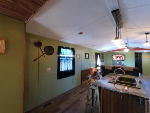 een keuken met groene muren, een aanrecht en een wastafel bij Copper Penny Rustic 