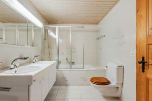 a bathroom with a toilet and a sink and a shower at Gisele - 8 pers - pres des pistes in Nendaz +40 photos