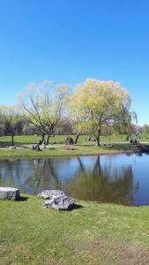 um lago num parque com árvores ao fundo em Cozy 1BR in Vieux-Longueuil +parking 14min Downtown em Longueuil
