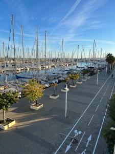 eine Reihe von Booten, die in einem Yachthafen mit Bäumen geparkt sind in der Unterkunft Gruissan Pleine vue sur port in Gruissan