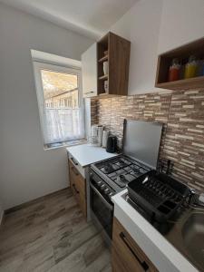 Il comprend une petite cuisine équipée d'une cuisinière et d'un évier. dans l'établissement Apartament Andreas, à Băile Herculane