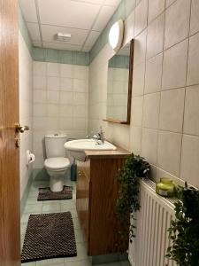een badkamer met een toilet, een wastafel en een spiegel bij Στου Στεφανή in Agros