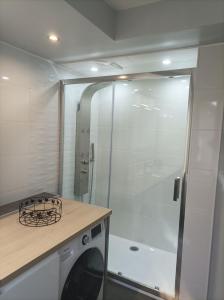 uma casa de banho com um chuveiro e uma máquina de lavar roupa em A l'ombre du lilas em Épinal