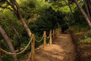a dirt trail with a wooden fence and trees at Albamar Apartaments in Lloret de Mar