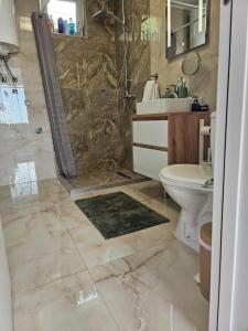 a bathroom with a shower and a toilet at Vila Ivona in Divčibare