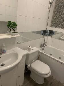 Spacious 1 bedroom en-suite, kitchen and garden space في إلفورد: حمام مع حوض ومرحاض وحوض استحمام