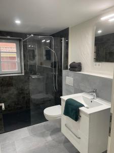 a bathroom with a shower and a toilet and a sink at FREIGEIST ZeitRaum in Haßloch