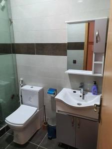 a bathroom with a toilet and a sink and a mirror at Mooi appartement, Route el Aounia Oujda in Oujda