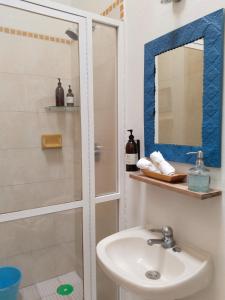 a bathroom with a shower and a sink and a mirror at El Diablo y la Sandia B&B in Oaxaca City