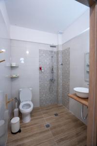 uma casa de banho com um WC, um lavatório e um chuveiro em Fyllenia Country Home, Aridaia, Pozar Baths em Chrýsa