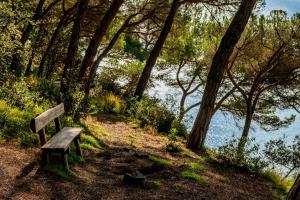 a wooden bench sitting next to a body of water at Albamar Apartaments in Lloret de Mar