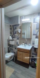 Un baño con inodoro, lavabo y espejo. en Kovac Inalux Apartmani, en Gornje Pale