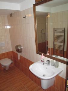 a bathroom with a sink and a mirror and a toilet at Penzion "U Kubínů" in Přibyslav