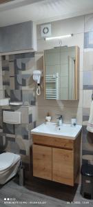 Un baño con lavabo, inodoro y espejo. en Kovac Inalux Apartmani, en Gornje Pale