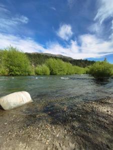 a river with a large rock in the water at Casa Terra Monoambiente in El Bolsón