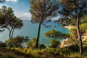 a view of a beach through the trees at Albamar Apartaments in Lloret de Mar