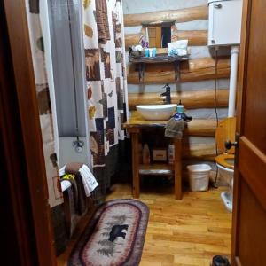 a bathroom with a sink and a toilet in it at The Pine Knot Cabin in Sevierville +28 photos