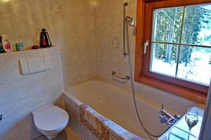 a bathroom with a tub and a toilet and a window at Almchalet Goldbergleiten in Großkirchheim