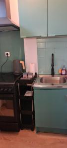 Una pequeña cocina con fregadero y estufa. en Studio KAAN avec terasse 5mn Basel Airport, en Saint-Louis