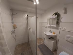 ヴィンターベルクにあるAlbi Haus Winterbergの白いバスルーム(シンク、シャワー付)
